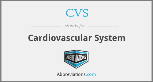 What does cardiovascular system stand for?